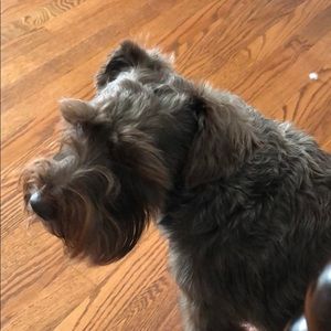 Meet your Posher, Edna